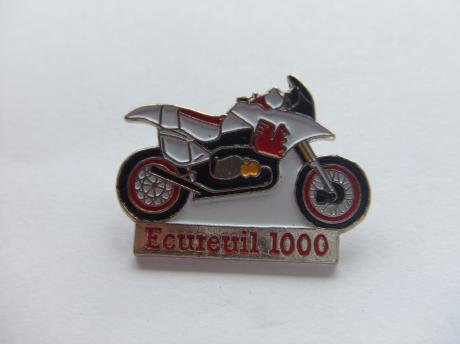 Ecureuil motor 1000 CC motor